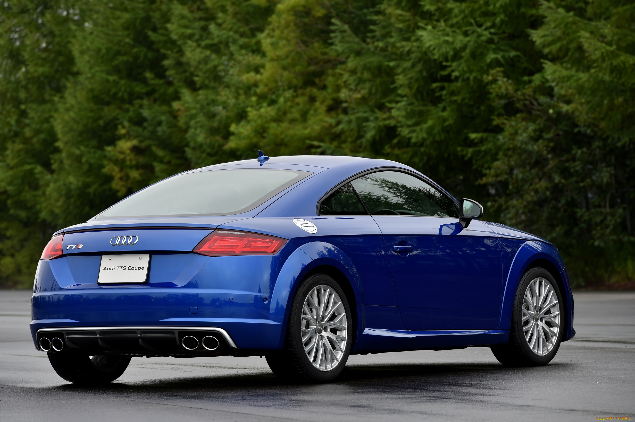 , audi
